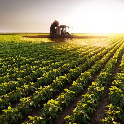 Tractor spraying pesticides at  soy bean fields