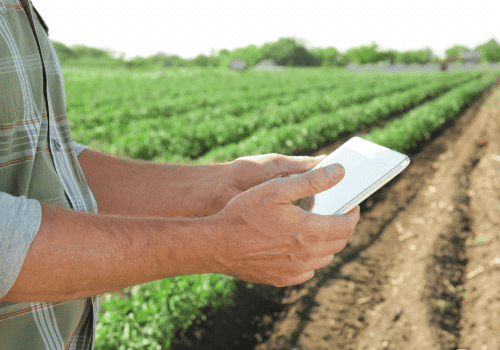 Man Holding Tablet in Field
