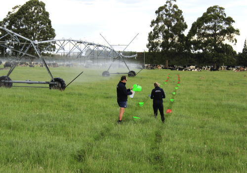 Vantage NZ_Bucket Testing_3